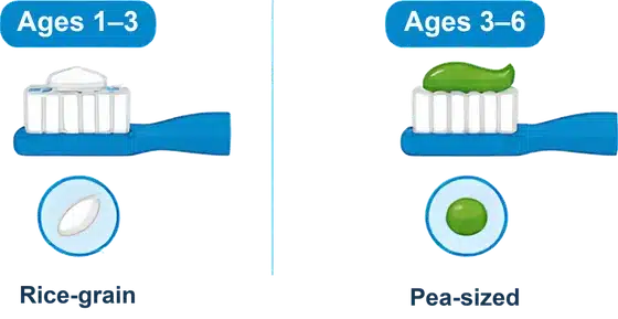 Rice-grain amount of fluoride toothpaste for ages 1–3, pea-sized for ages 3–6