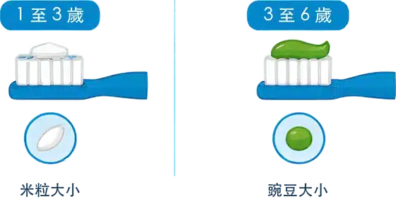 1 至 3 歲用米粒大小、3 至 6 歲用豌豆大小的含氟牙膏
