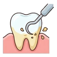 Deep cleaning (scaling and root planing)